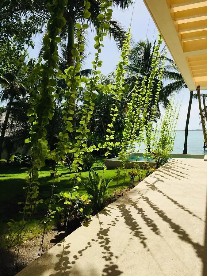 Muyal 0*, Chetumal